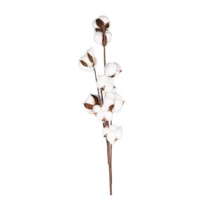 Decoratiune GOSYPIUM, 75 cm