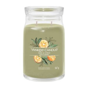 Lumanare parfumata SAGE&CITRUS, 567 GR