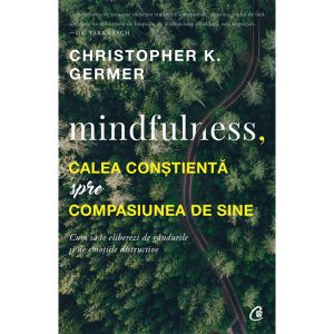 Carte MINDFULNESS CHRISTOPHER K. GERMER
