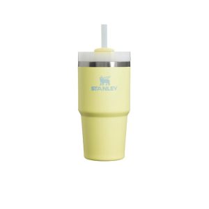 Cana termo cu pai STANLEY, 600 ml, galben