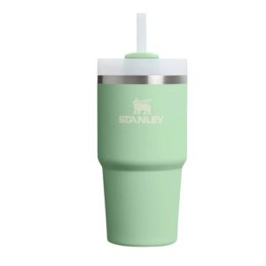 Cana termo cu pai STANLEY, 600 ml, verde deschis