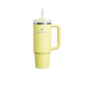 Cana termo cu pai STANLEY 890 ml, galben