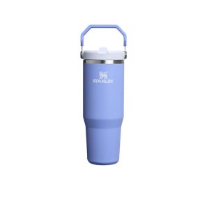 Termos cu pai STANLEY 890 ml, mov