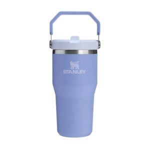 Termos cu pai STANLEY 600 ml, mov