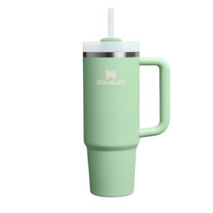 Cana termo cu pai STANLEY, 890 ml, verde deschis